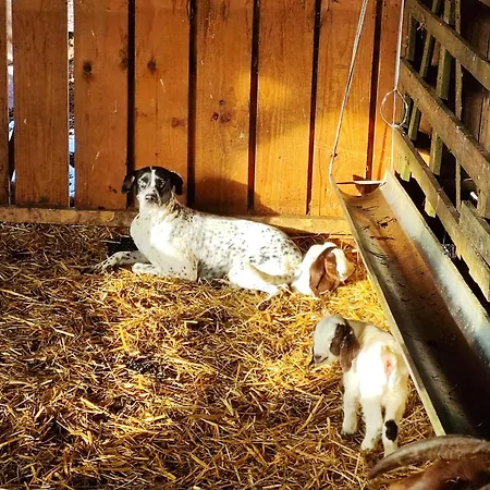 Tiny Bauernhof Plau *