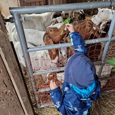 度假居 Tiny Bauernhof Plau *