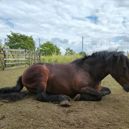 Tiny Bauernhof Plau 普劳西
